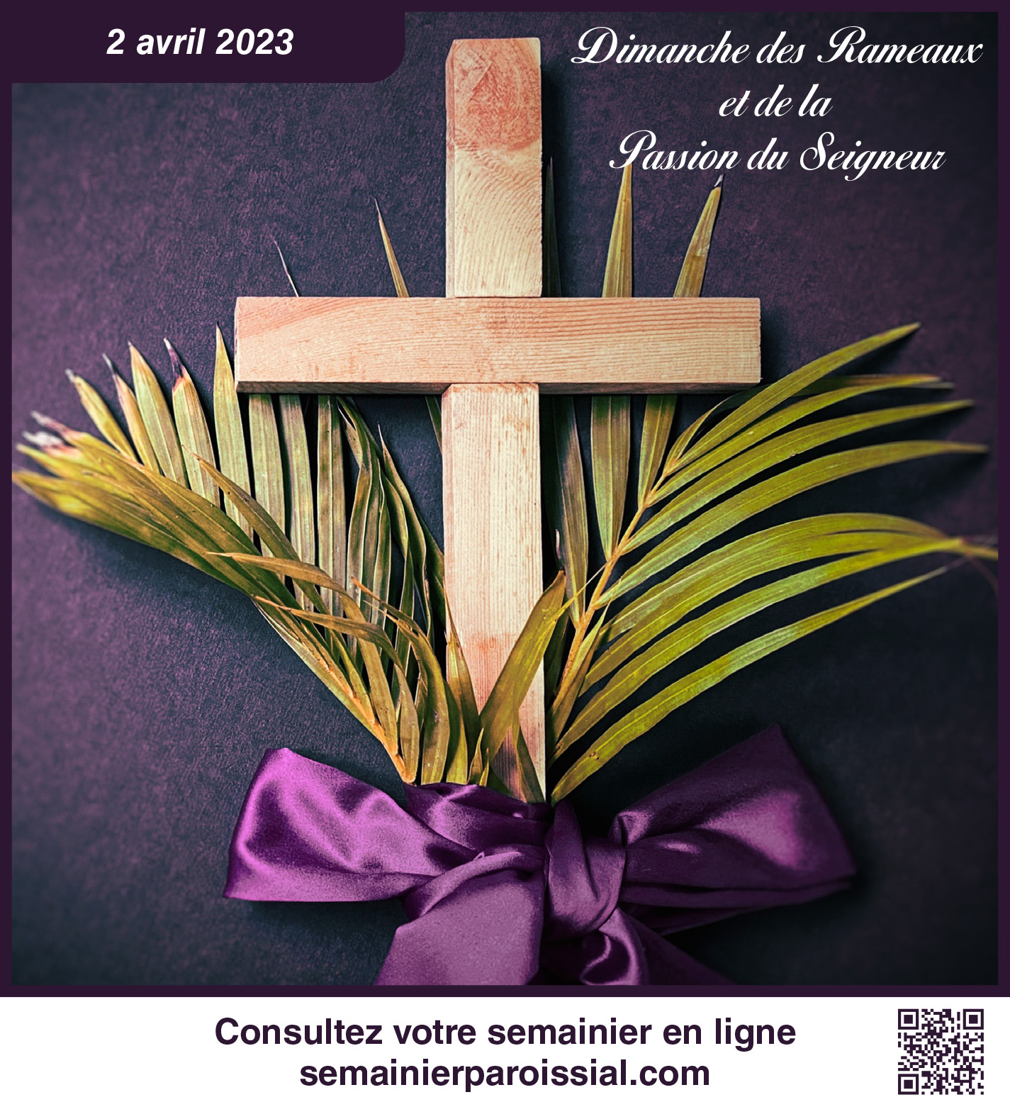 Image de la semaine